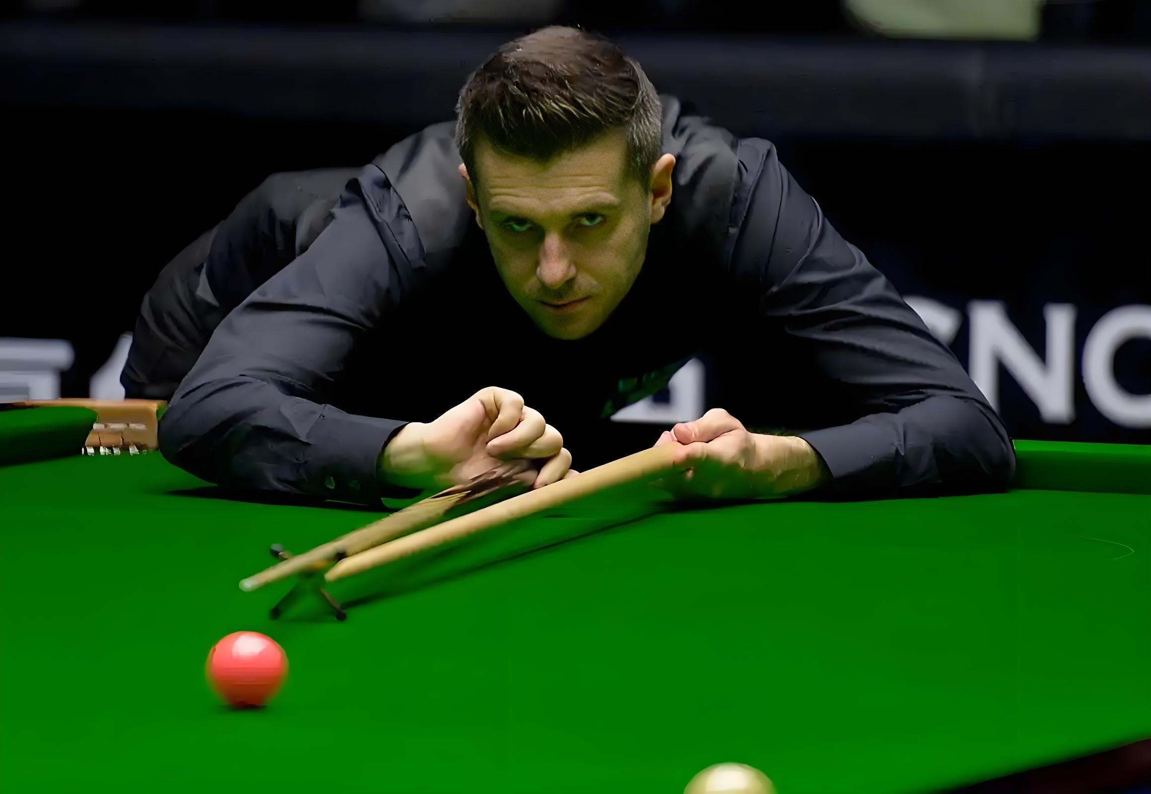 粉丝基础稳 粉丝基础稳